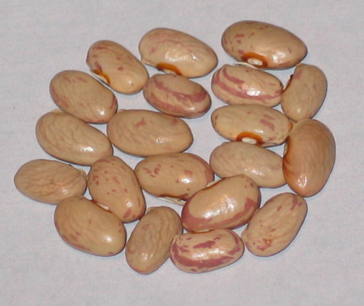 image of Heinrich 1 beans