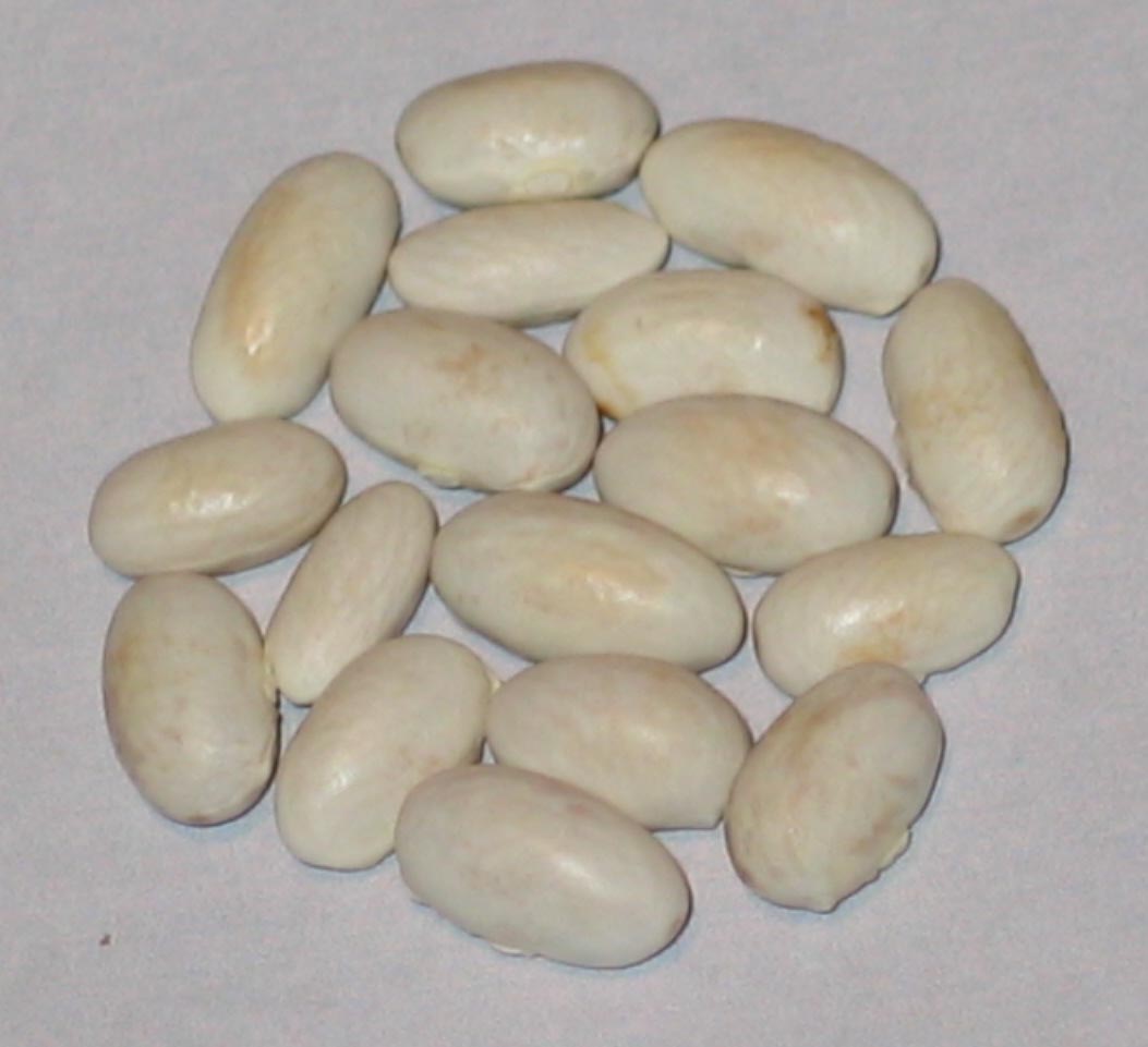image of Heinrich 2 beans