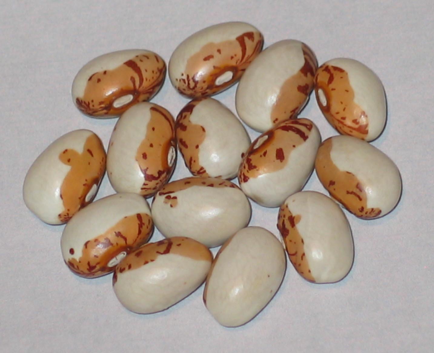 image of Hidatsa Shield Figure beans