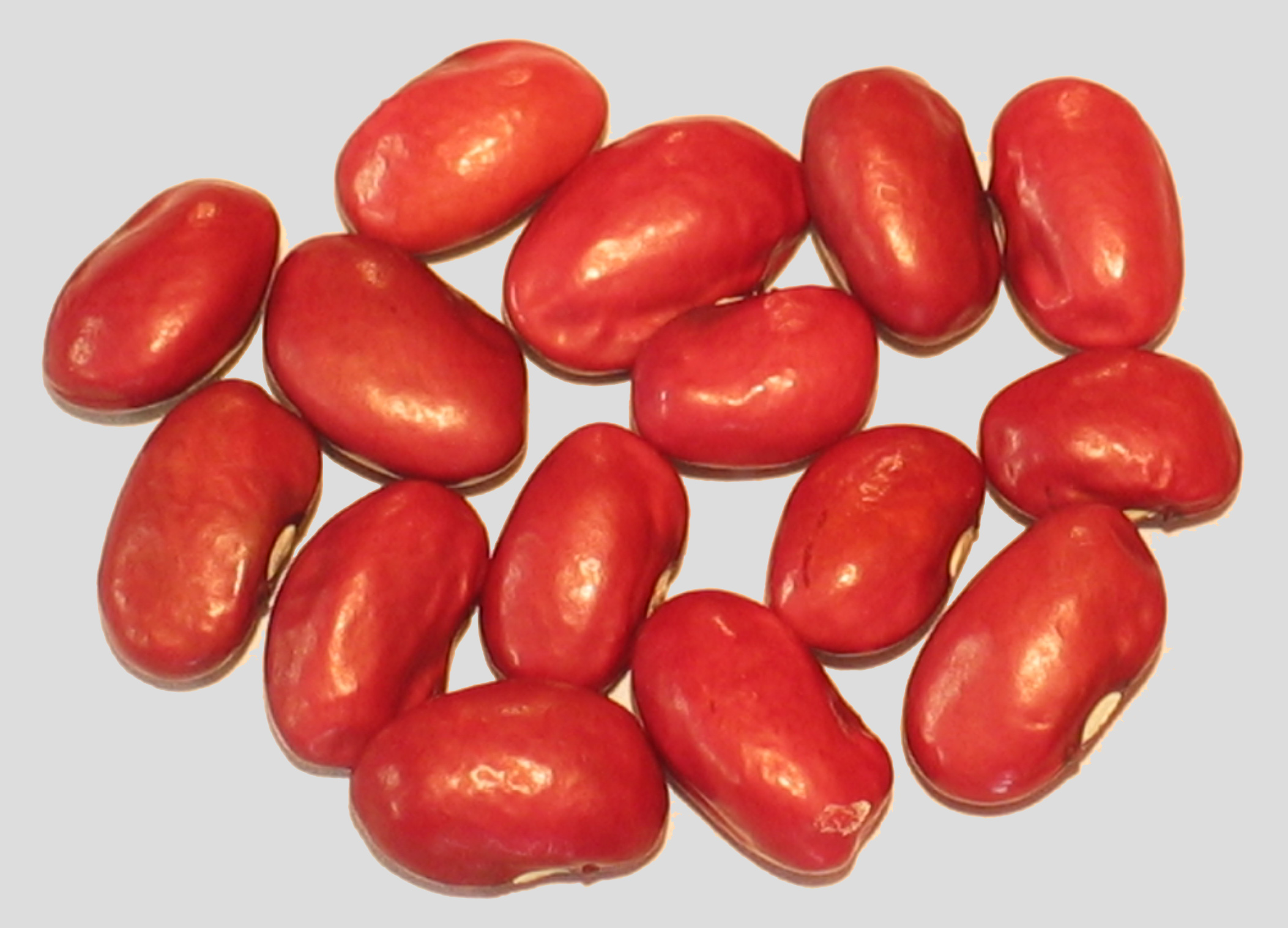 image of Hidatsa Red beans