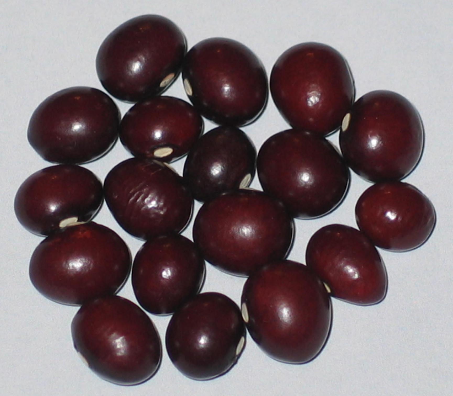 image of Ijevan Hematite beans