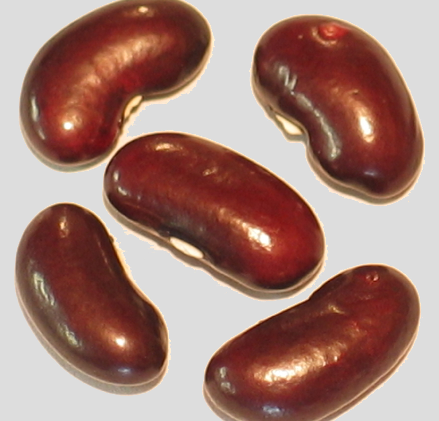 image of Ijevan Hematite beans
