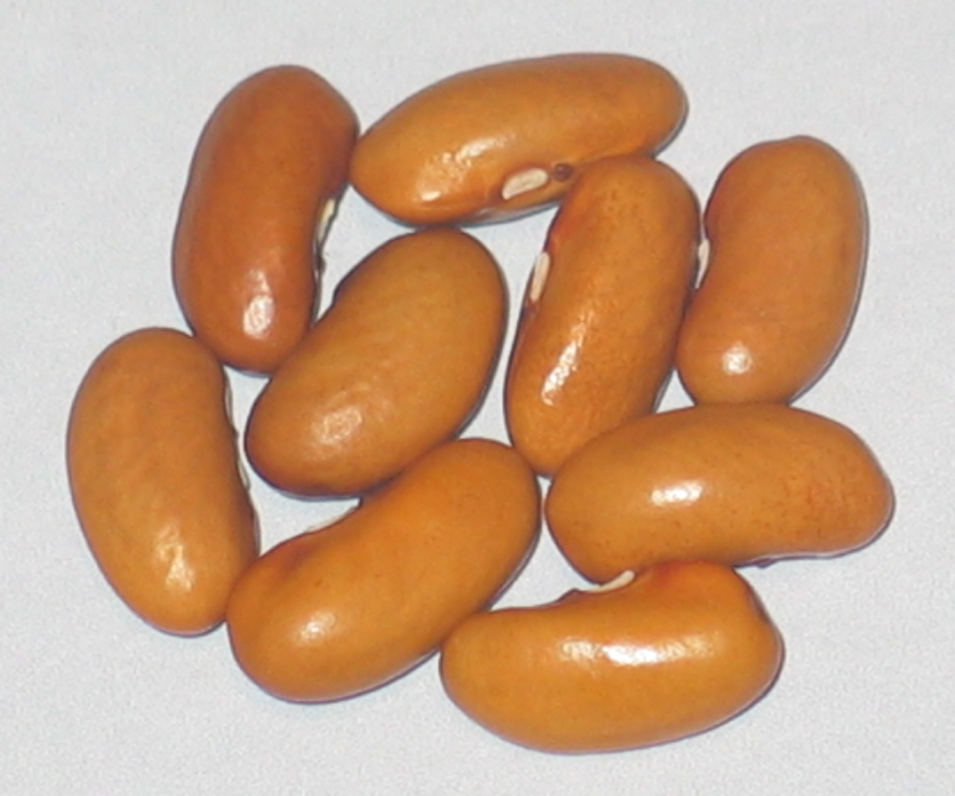 image of Imbotyimbayiyana beans
