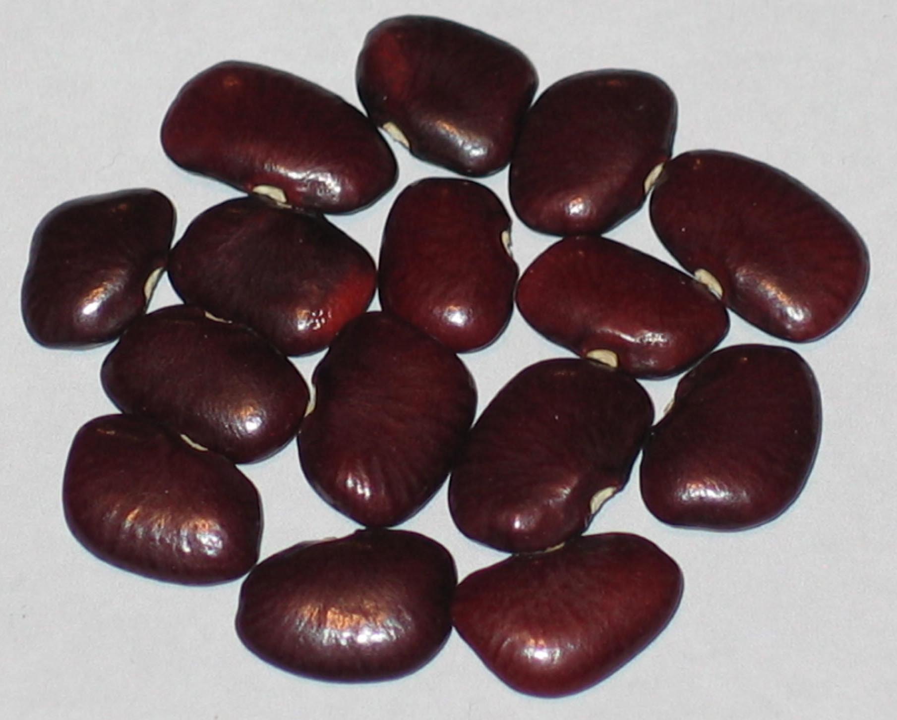 image of Indian Red beans