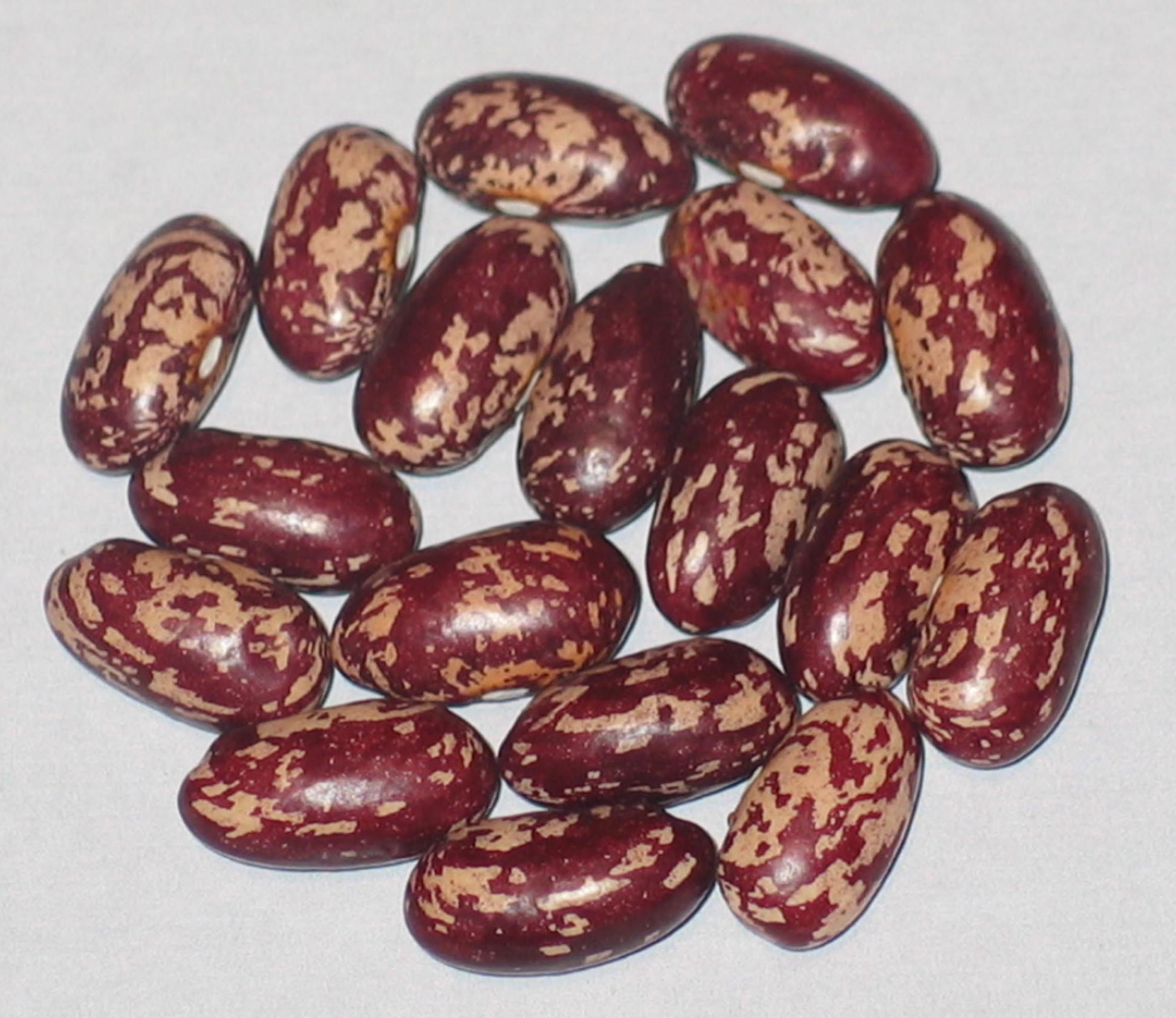 image of Jesse Fisk beans