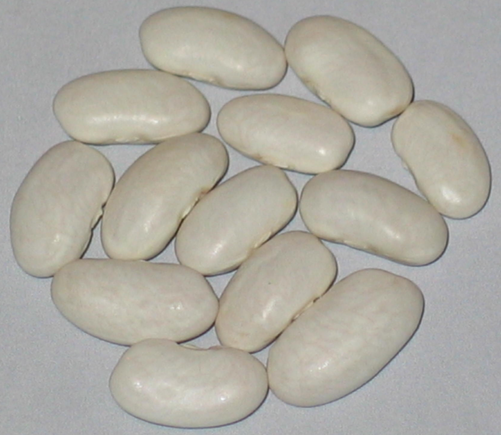 image of Kentucky Wonder White Seeded beans