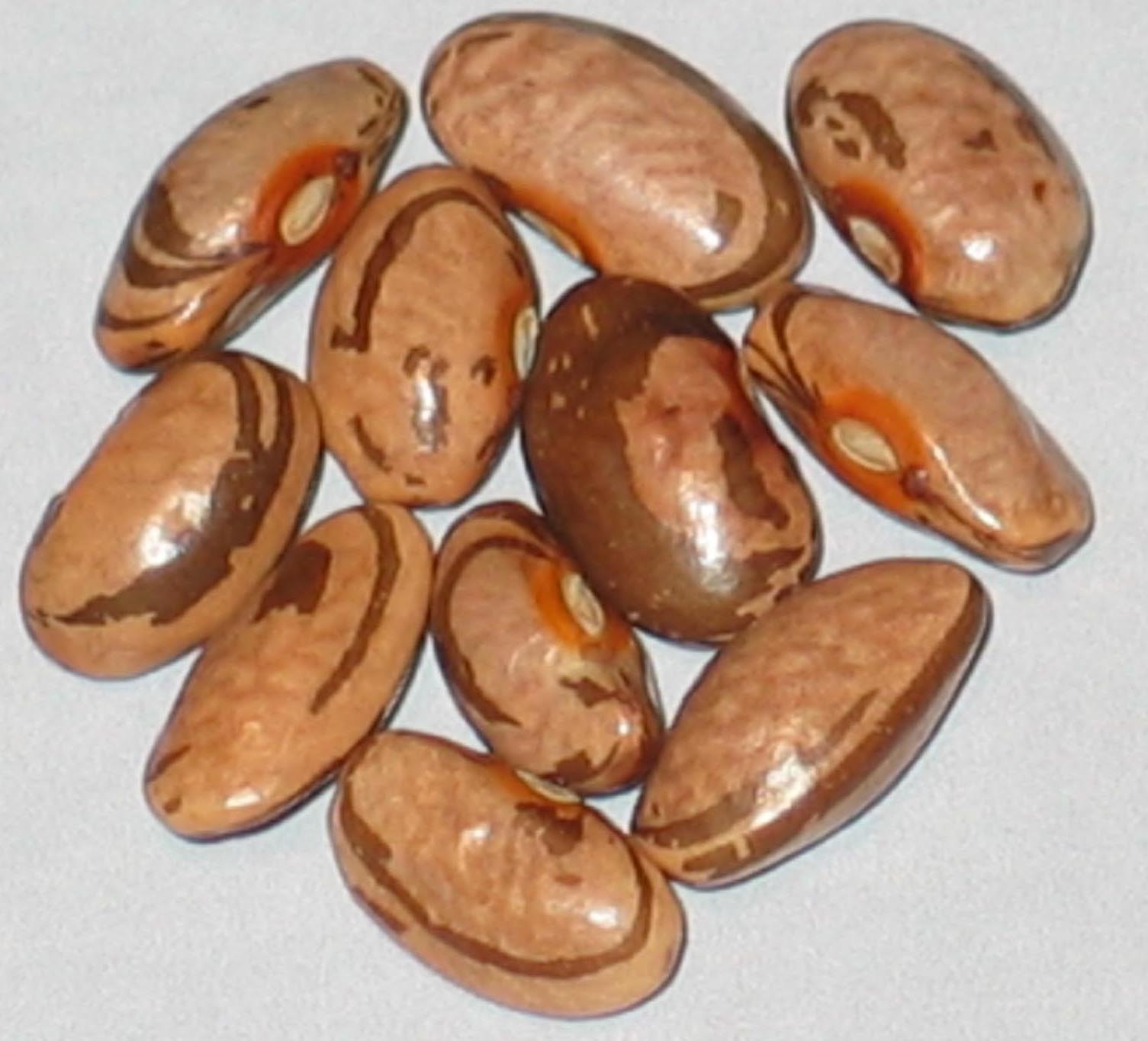 image of Kermits Smoky Mountain beans