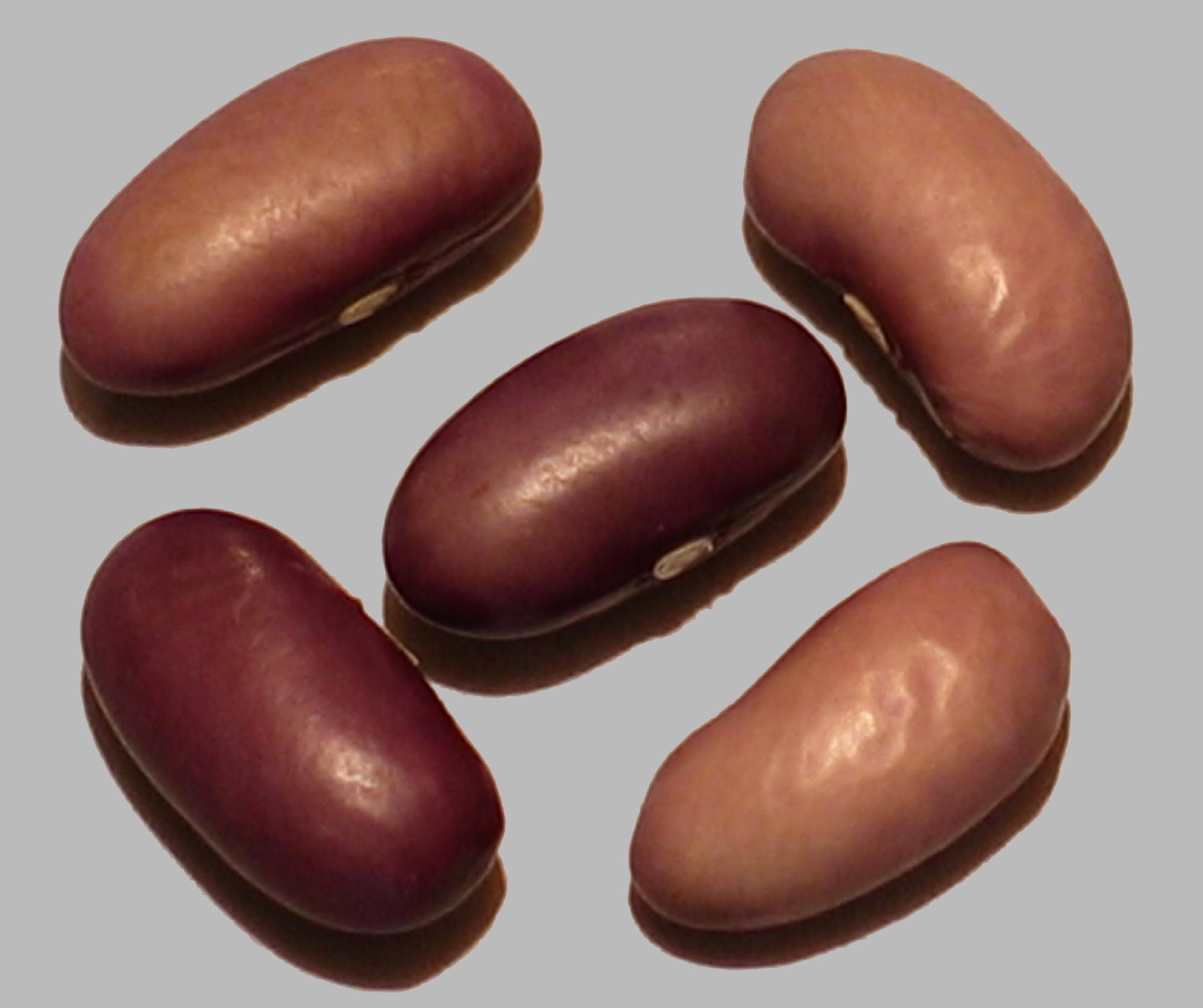image of Kitoba beans