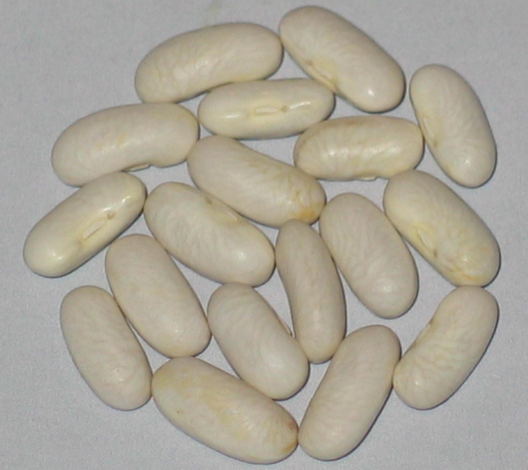 image of Kjoto beans