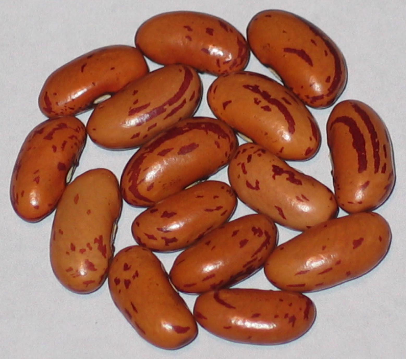 image of Larson Family Swedish beans
