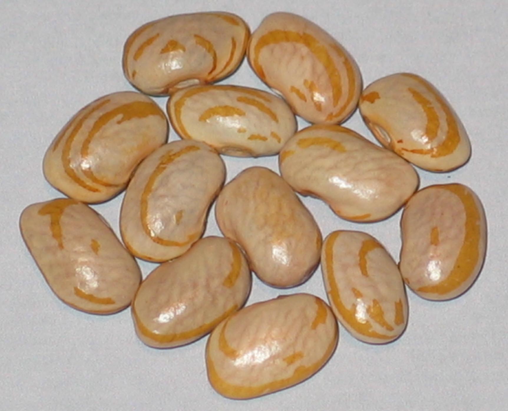 image of Lemon Slice beans