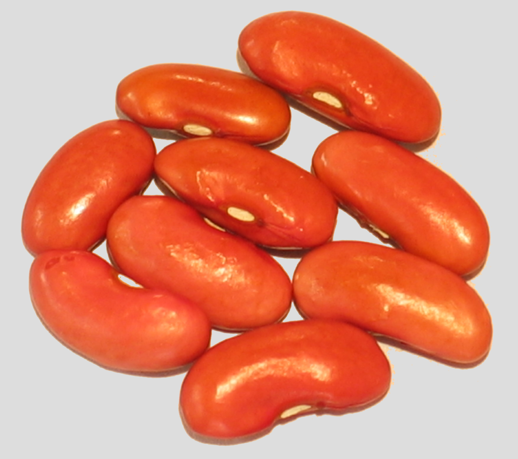 image of Louisiana Red Kidney beans