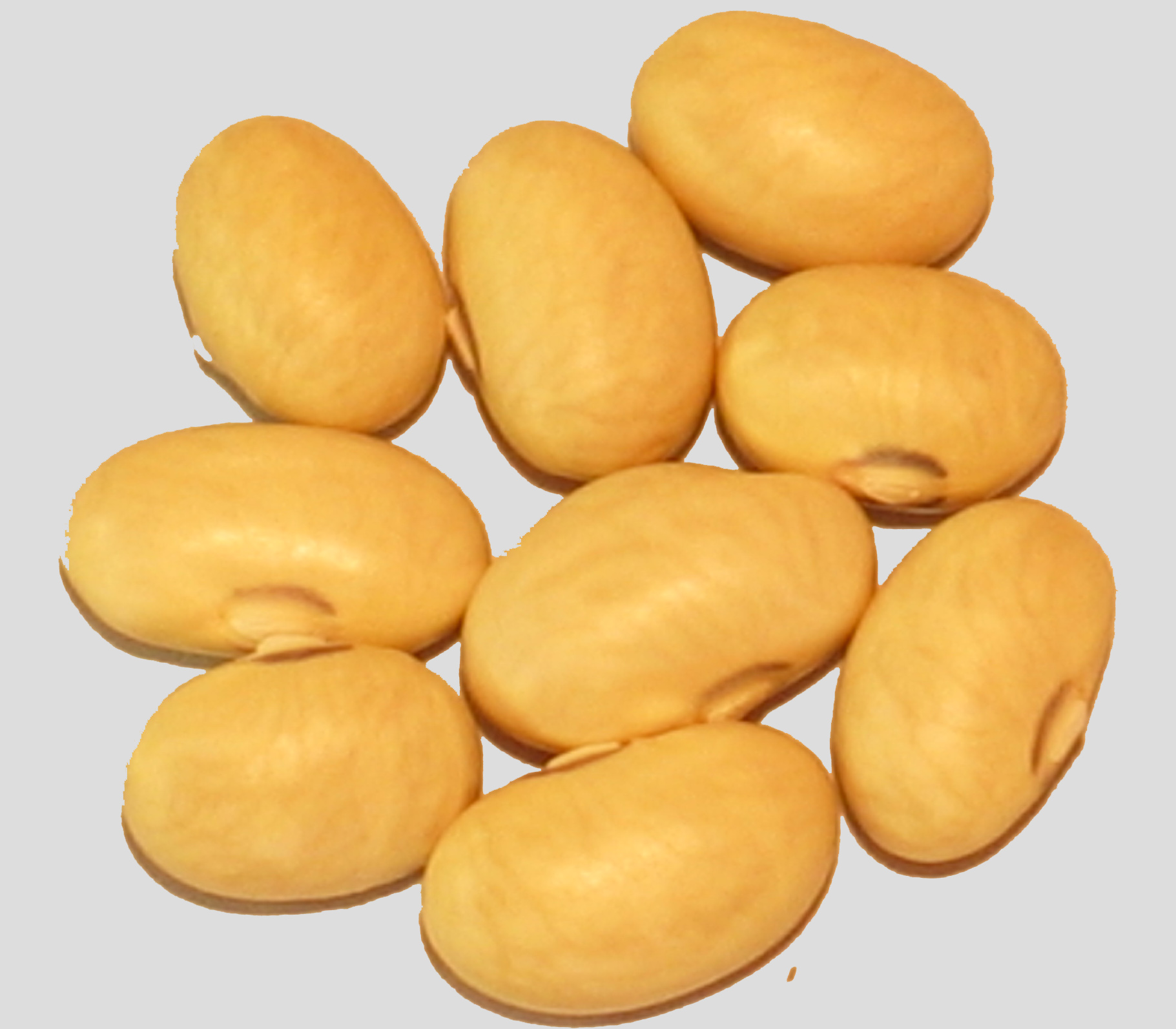image of Lusaka beans