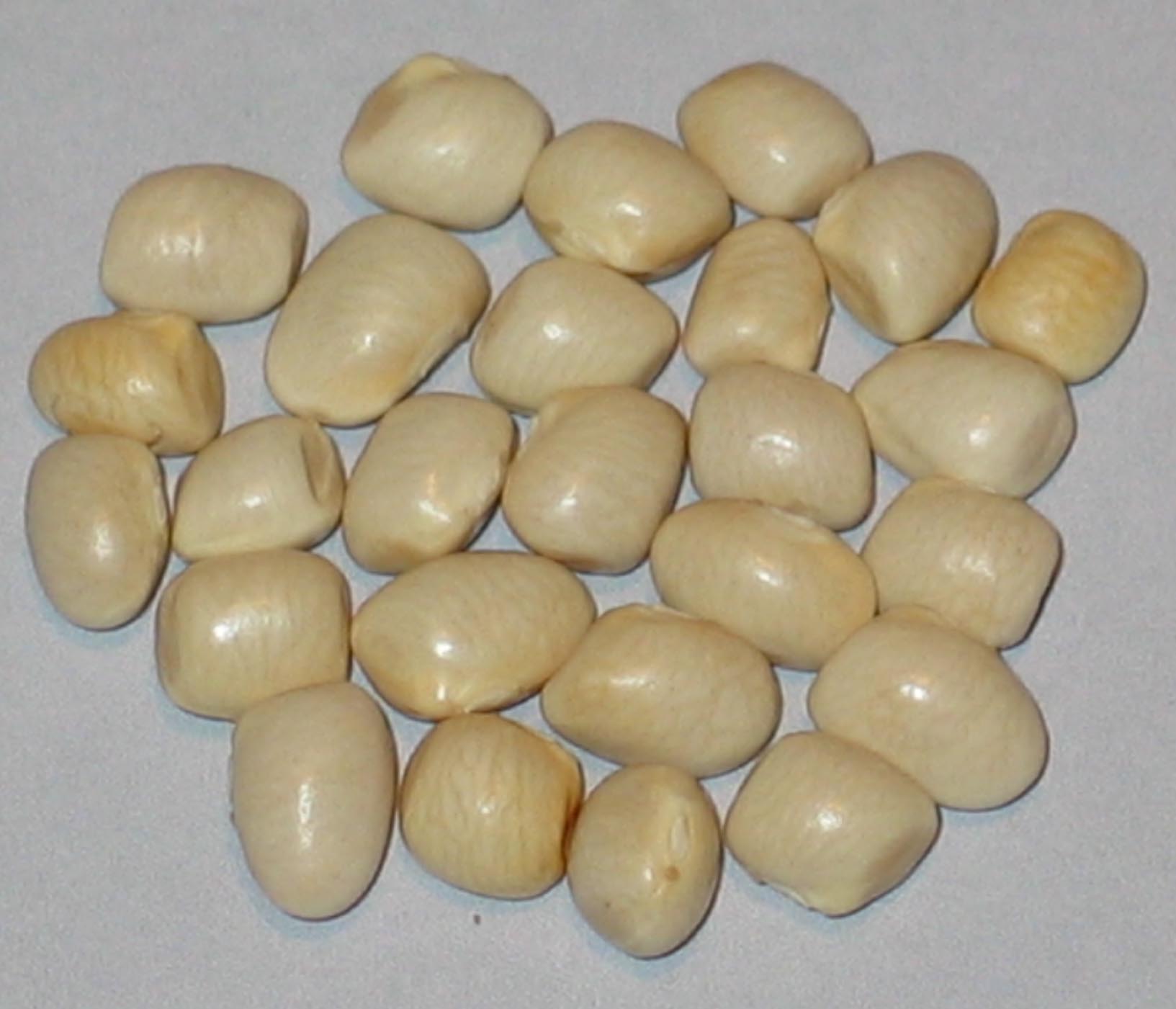 image of Luthers Family Greasy Cornfield beans