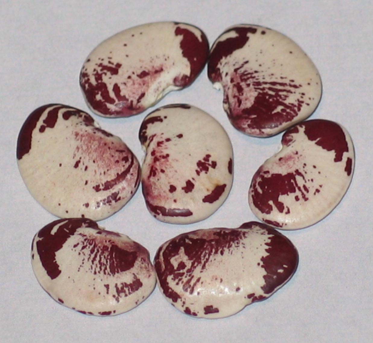 image of Madagascar beans