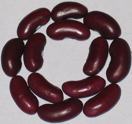 image of Red Rajma beans